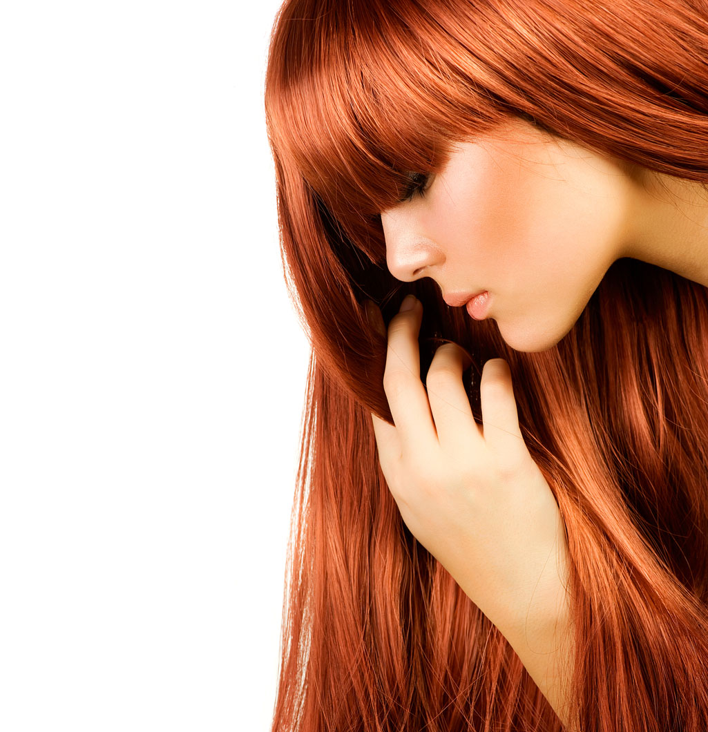 Salon 1226
